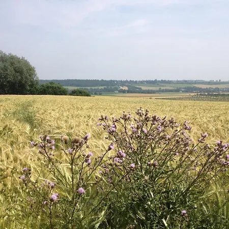 De Linde فندق فِيْلين