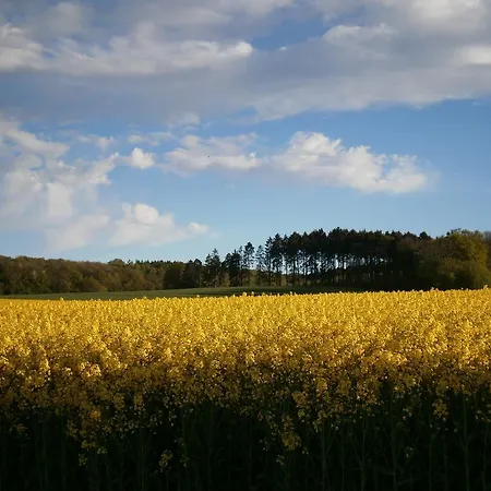 De Linde 3* Vijlen